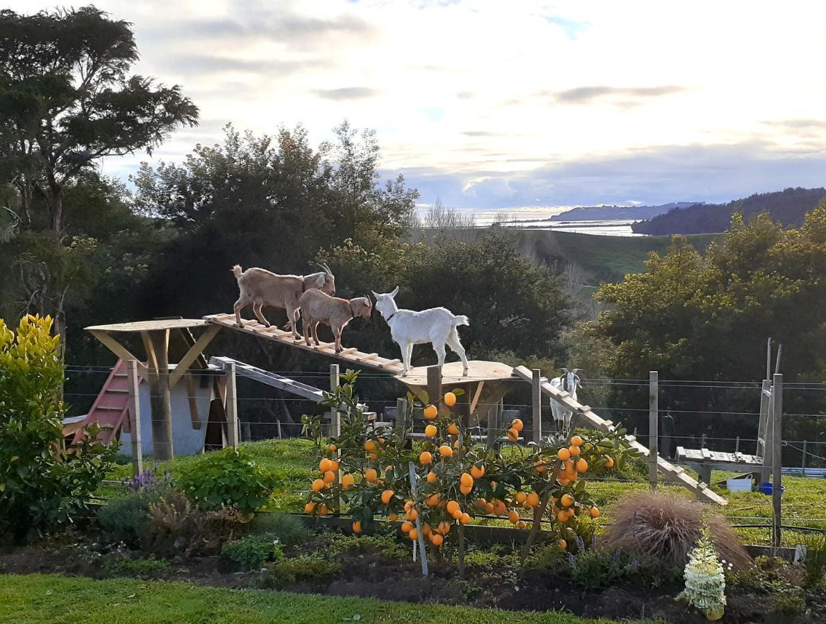 Appartamento Rangimarie 123 Wainui  Esterno foto